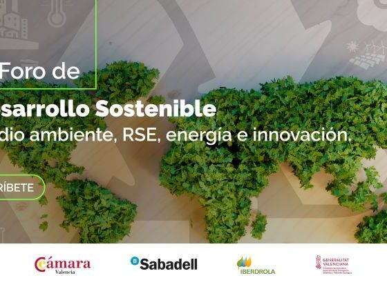 El CE/R+S participa en el 6º Foro de Desarrollo Sostenible, organizado por Cámara Valencia